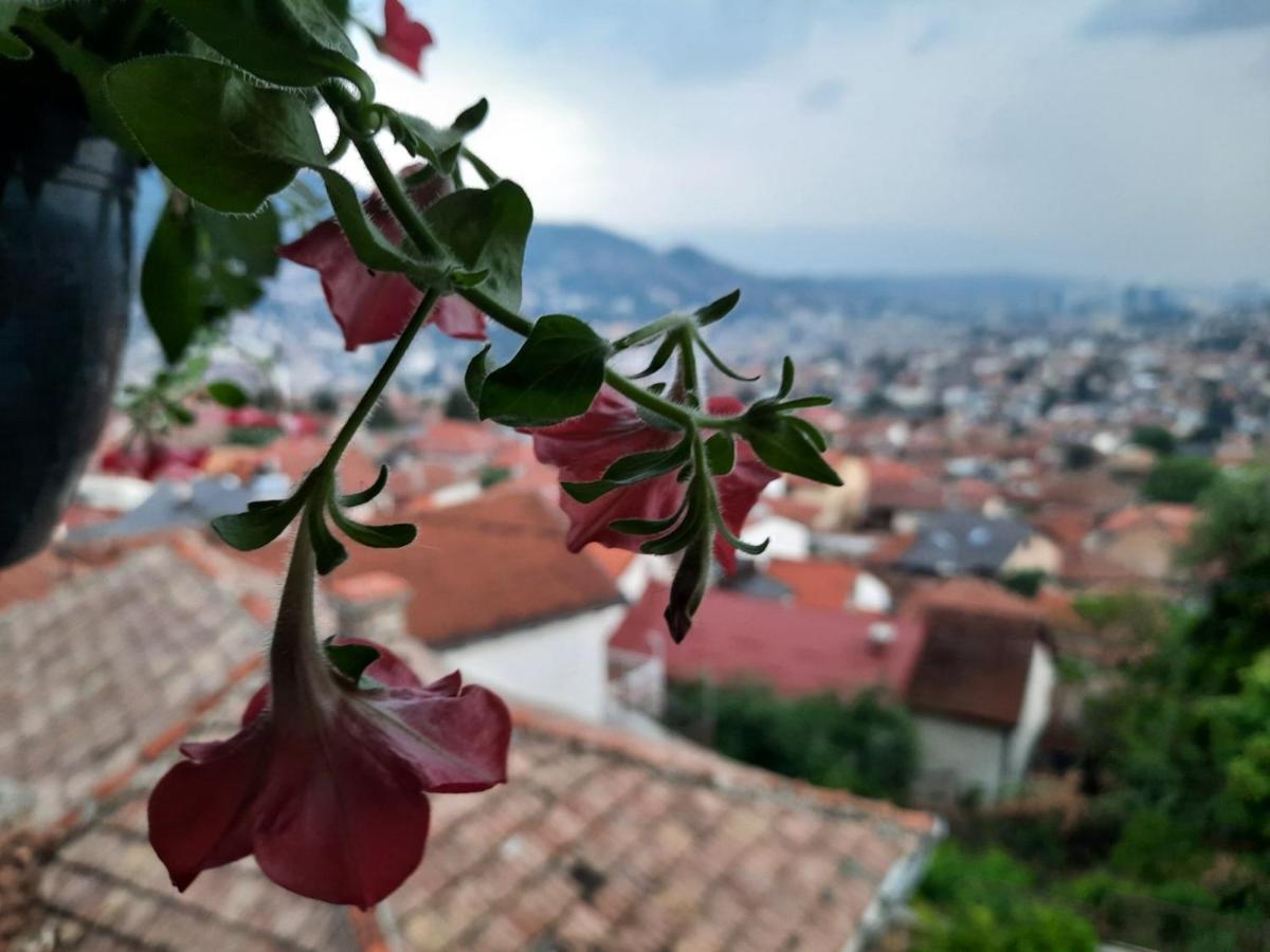 Best Terrace View In The Heart Of سراييفو المظهر الخارجي الصورة